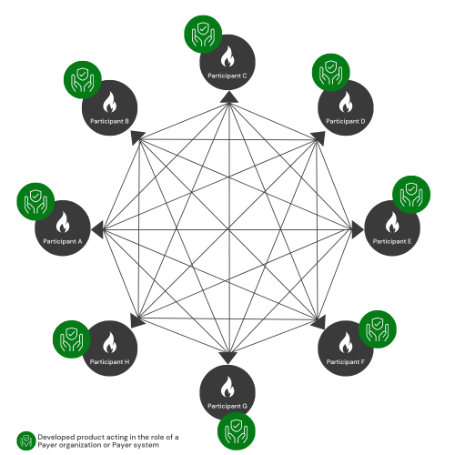 Diagram: Full-matrix Interoperability testing without FHIRplace.